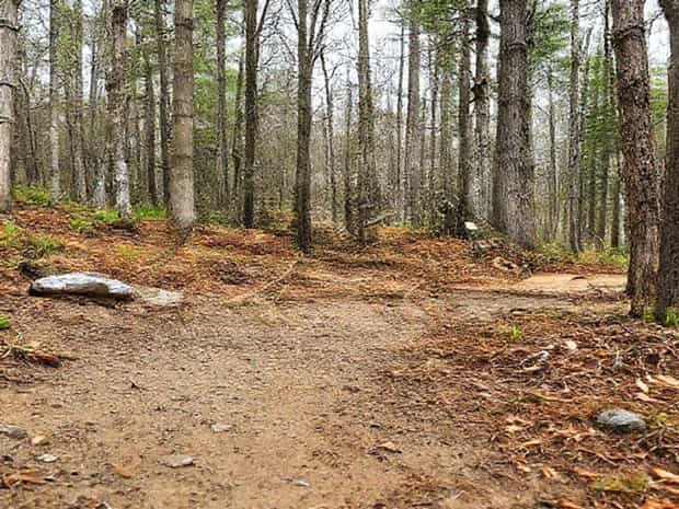 Kanati Trail Hog Review