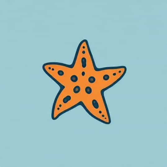 Knobbly Sea Star Eat