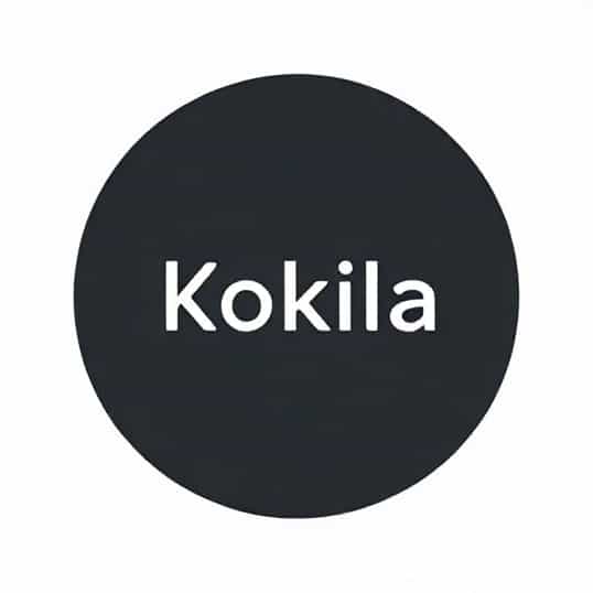 Kokila Italic Font Free Download