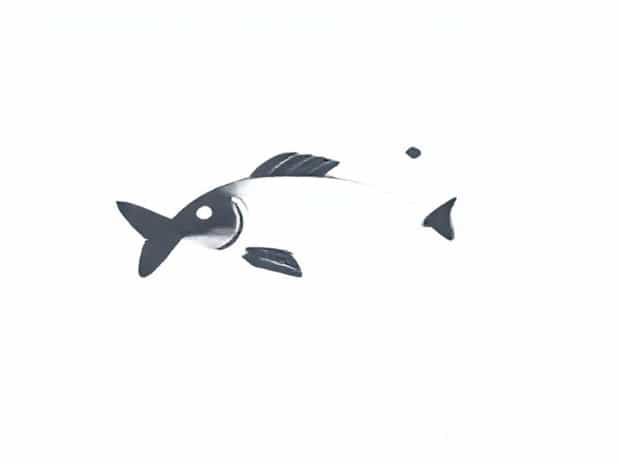 Krokiety Z Kapust? I Grzybami