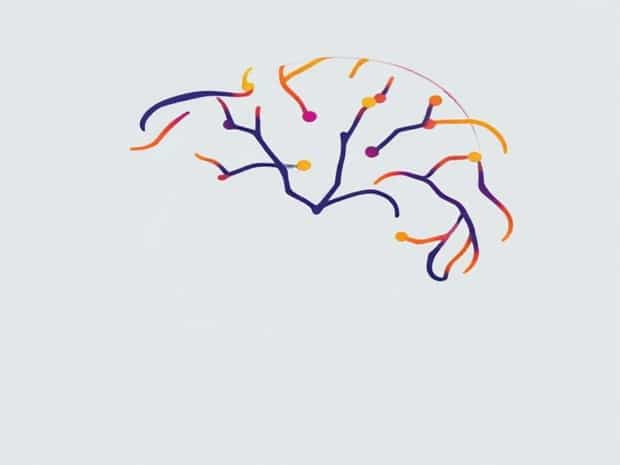 Link Between Neurodiversity And Queerness