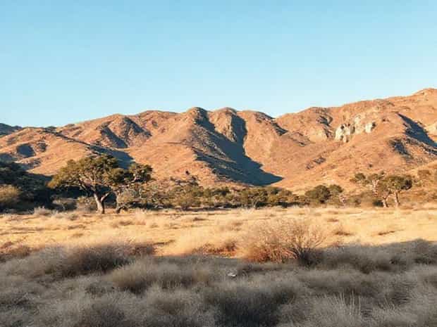 Malibu Creek State Park