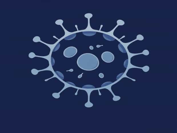 Mast Cells Innate Or Adaptive