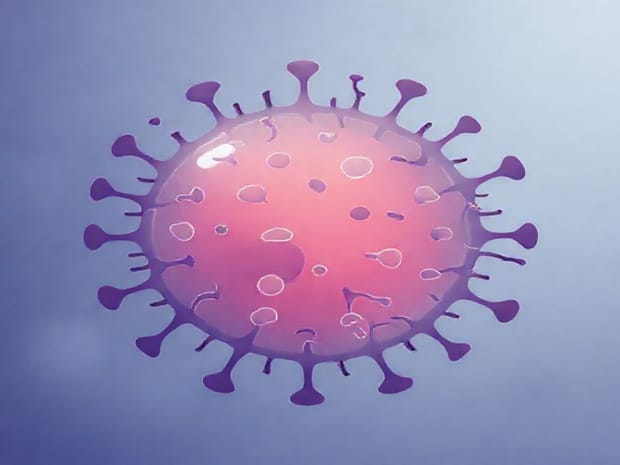 Cells Used For Absorption Typically Utilize Cellular Adaptation And Aberrant Cell Growth