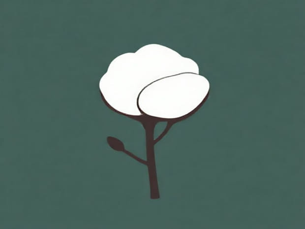 Difference Between Combed Cotton And Cotton