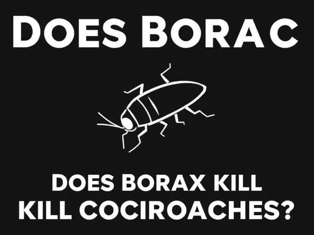 Does Borax Kill Cockroaches