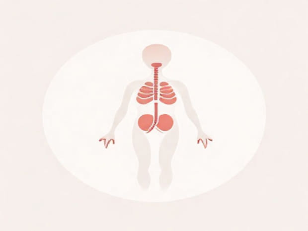 Does The Endocrine System Maintain Homeostasis