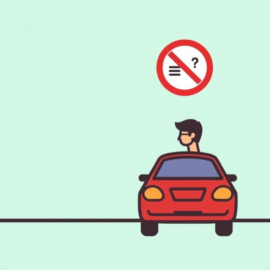 Examples Of Distracted Driving