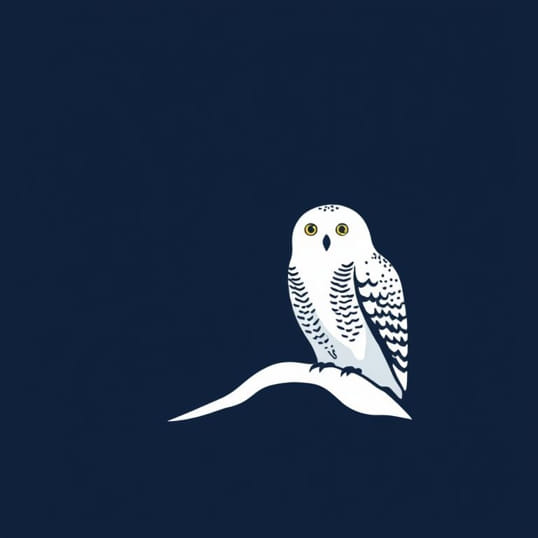 Facts About Snowy Owls