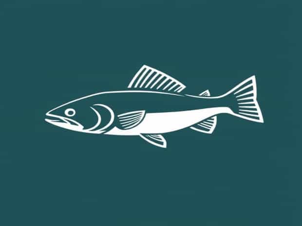 Fish Lectronics Pequot Lakes