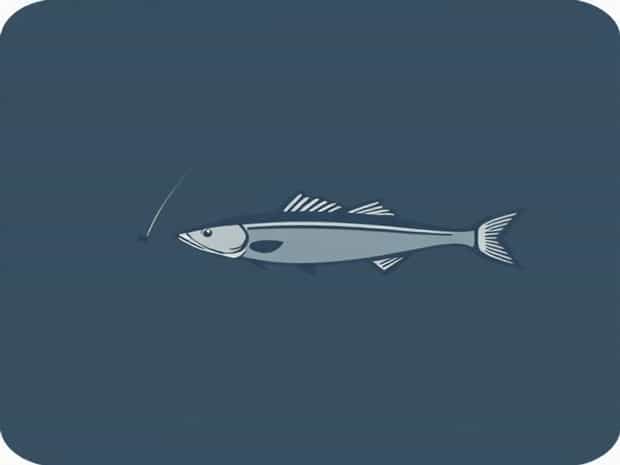 Fishing Line Poundage Chart