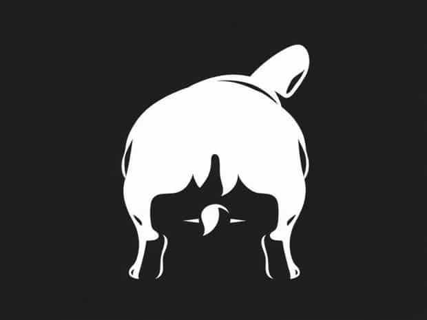 French Bulldog Back Legs Bowed