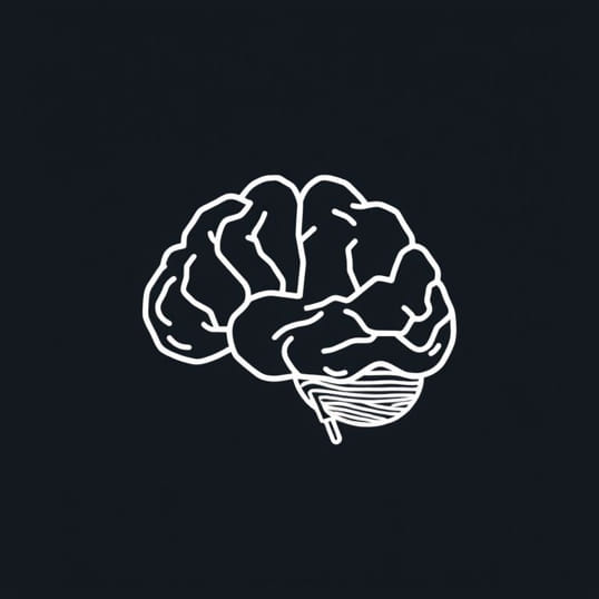 Function Of Insular Lobe