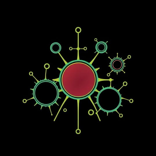 Function Of Tactile Cells