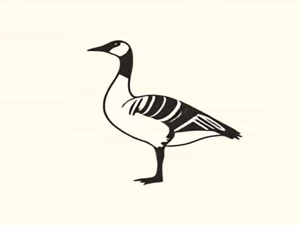Geese Sound Is Called Cackle