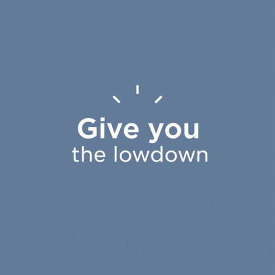 Give You The Lowdown