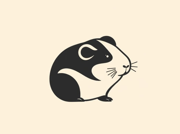 Guinea Pig Squeak Meaning