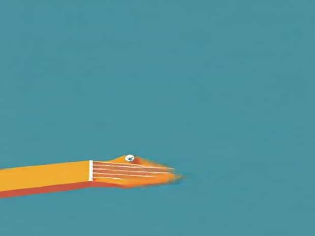 Guitar Truss Rod Adjustment