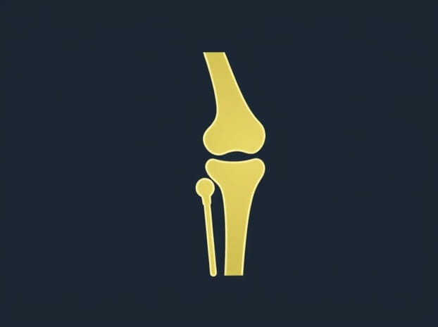 How Do The Menisci Stabilize The Knee Joint