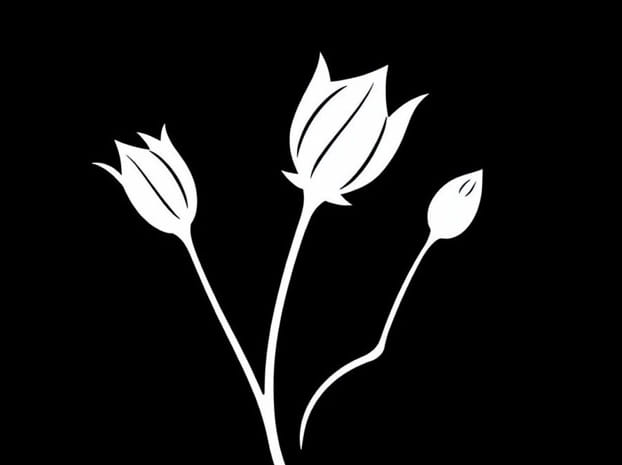 How Does Nondisjunction Impact The Jimsonweed Plant?