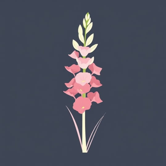 How Long For Gladiolus Bulbs To Sprout