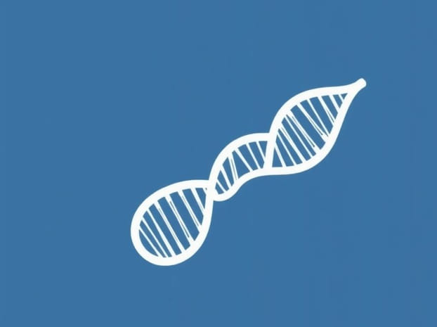 How Many Trna Molecules During Elongation