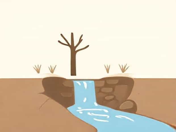 How To Build A Berm To Divert Water