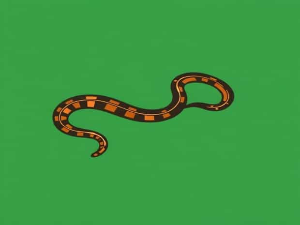 How To Get Rid Of Copperhead Snakes