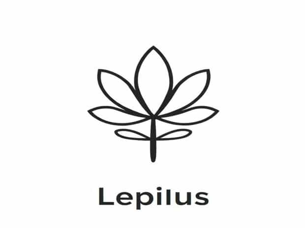 How To Pronounce Lepidus
