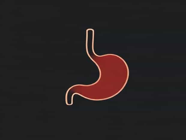 Is Cochineal Extract Bad For Your Stomach
