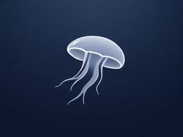 Is Flagella A Bacteria