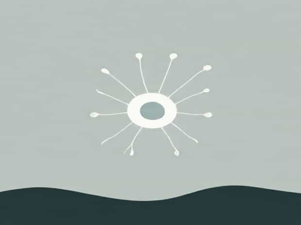Is Flagella In Eukaryotic Cells