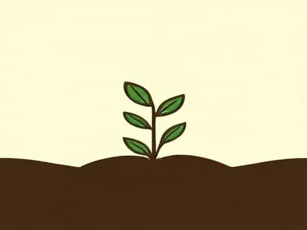 Is Topsoil Good For Gardening