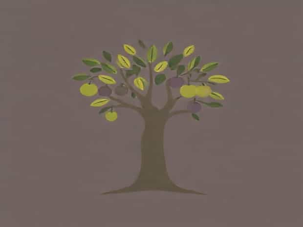 Jesus Cursed The Fig Tree