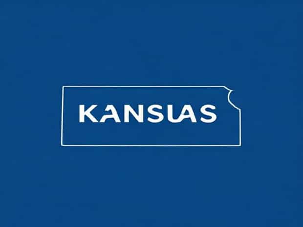Kansas Secretary Of State Business Filings