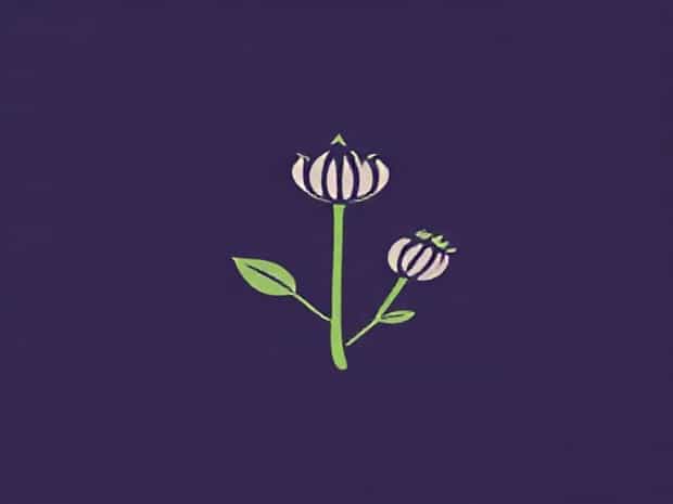 Kens Granddaddy Purple Seeds