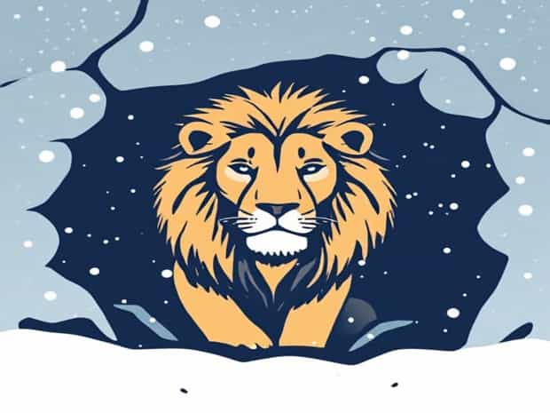 Lion In A Pit On A Snowy Day