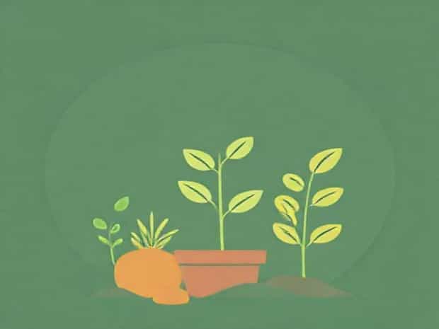 List Of Mobile And Immobile Nutrients In Plants