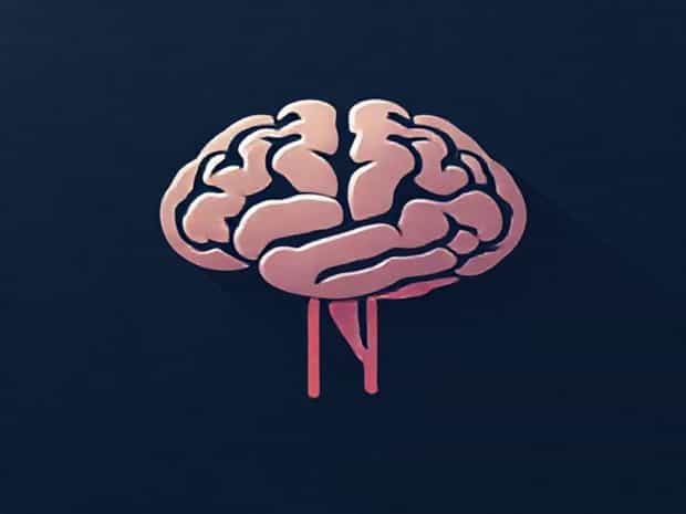 Long Term Memory Declarative And Procedural