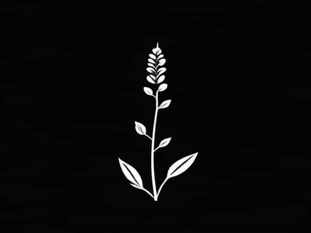 Mares Tail Weed Killer